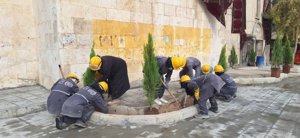 Project gallery image